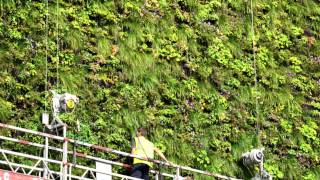 Londons Largest Living Wall