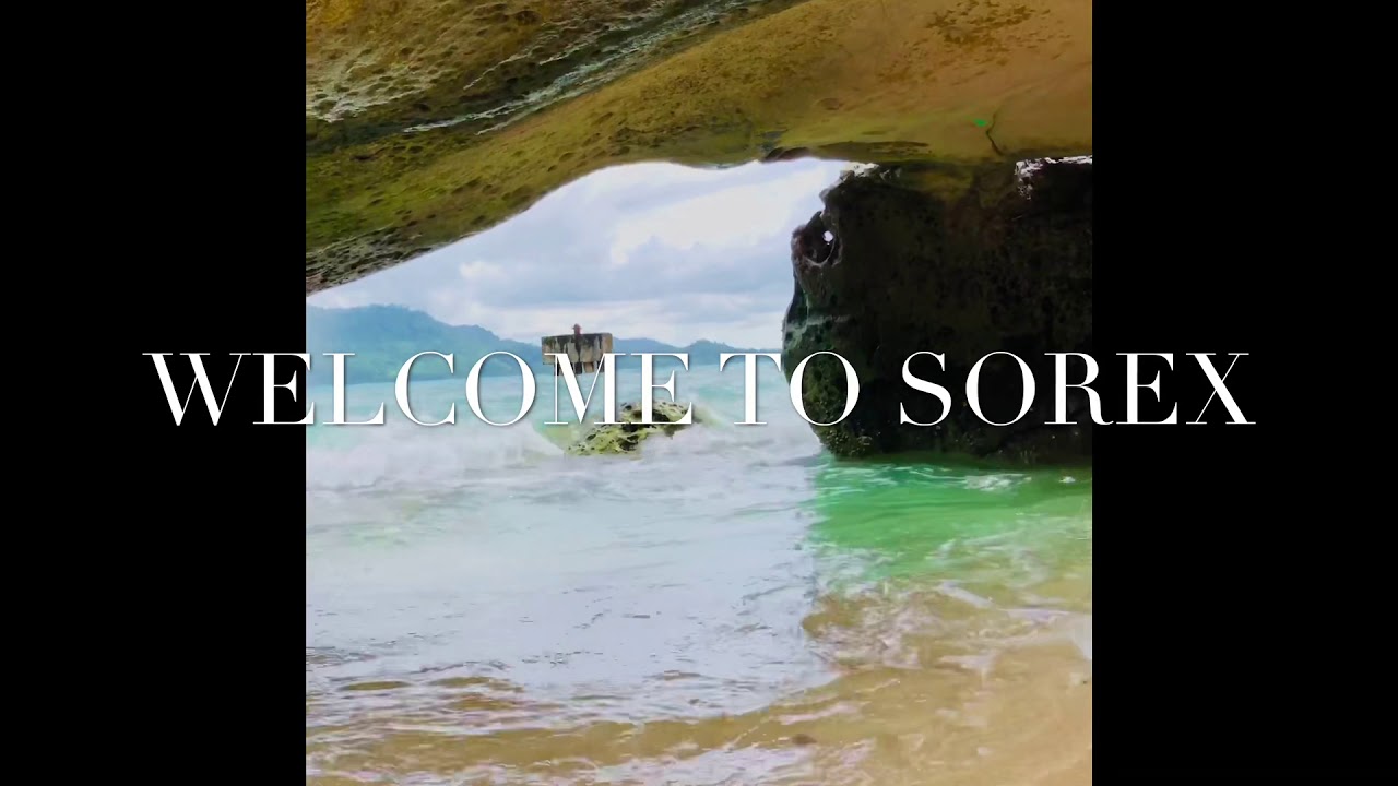 Sorex a beautiful paradise. 📍Tagbita rizal palawan - YouTube