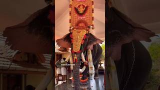 തെക്കിൻ്റെ തേവർ 🔥 തൃക്കടവൂർ ശിവരാജു 😍 ആന | kerala elephant #elephants #ആന #shorts #viralvideo #aana