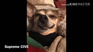 Lil Baby/ Drake Yes Indeed Soft Tone Remix Bass Boosted screenshot 1