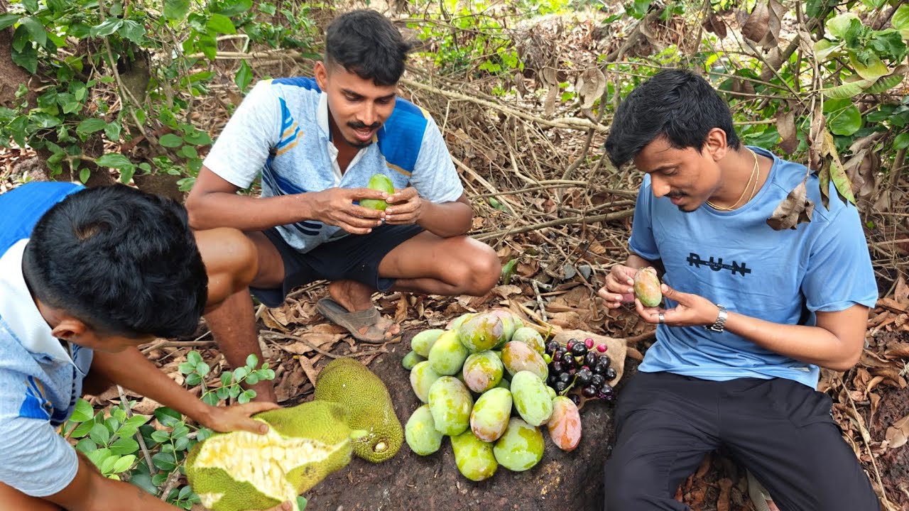 कोकणातील रायवळ आंबे फणस खायची मज्जाच वेगळी , कोकणातील उन्हाळा | Traditional kokan @TejaGurav