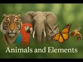 Periodic Table - Animals, Birds and Elements