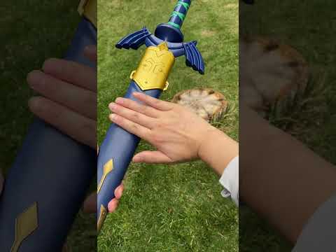 Life-size Link Master