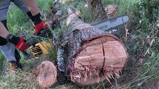 Cutting firewood, 440 and Promac 610