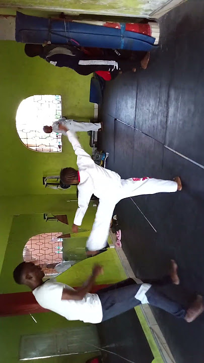 Sokwe akiwa mazoezini na wanawe