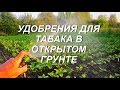 № 83 . УДОБРЕНИЯ ДЛЯ ТАБАКА . ТАБАК .