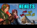 حياة النينيتس القاسية في يامال روسيا يعيشون على قيد الحياة في درجة حرارة 70 درجة مئوية تحت الصفر حياة النينيتس القاسية في يامال روسيا يعيشون على قيد الحياة في درجة حرارة 70 درجة مئوية تحت الصفر