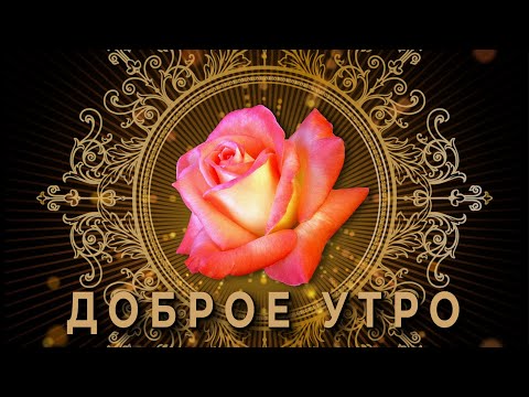 ✅Доброе утро✅