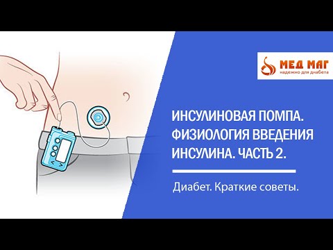 Инсулиновая помпа. Физиология введения инсулина. Часть 2.