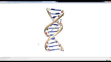 creating pictures of nucleic acids using UCSF Chimera