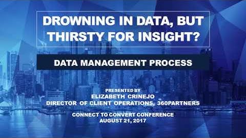 Data Management Process - Drowning in Data, but Thirsty for Insight?