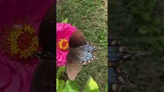 How To Improve Your Productivity