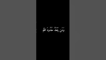 #سورة_الطلاق #قران_كريم #وحيد #waheed_hamed #xeplore