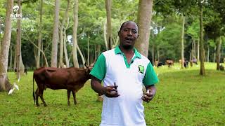 JAGUZA - Cloud Powered Livestock Monitoring App screenshot 4