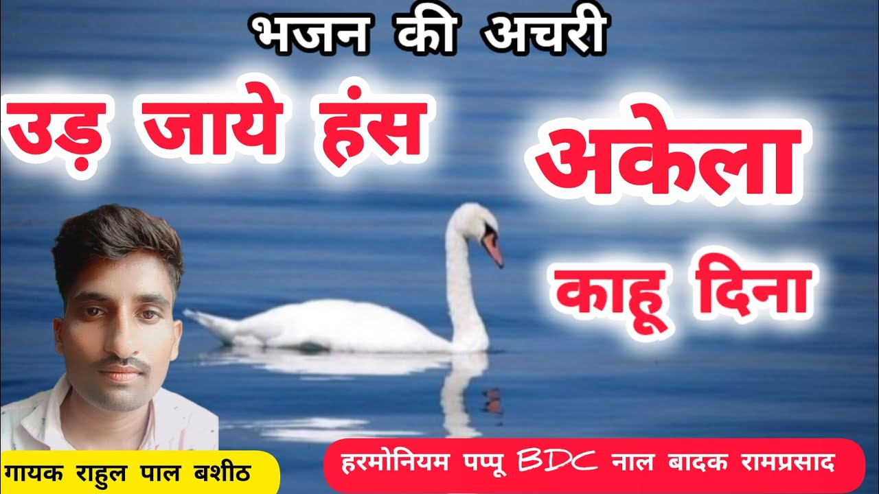 भजन की अचरी #अचरी #भजन #कीर्तन#बुंदेलीअचरी #बुंदेलीदेविगीत #बुंदेलखंडीगीत #देवीगीत #kirtan #video