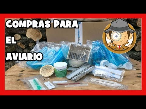 COMPRAS PARA LA CRIA DE CANARIOS 🐦ANALIZANDO TIENDA ONLINE CORONASILVESTRES hqdefault