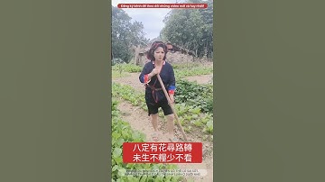 Hát đối đáp Dân tộc Dao Thanh Y