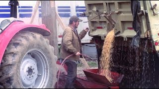 Grinding Corn with a Corn Hog Grinder