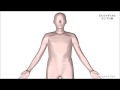 腰椎分離、すべり症／2分で分かる医療動画辞典　ミルメディカル