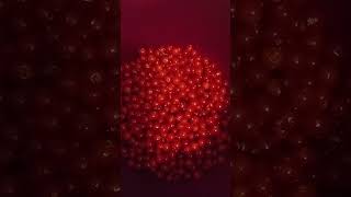 Cene Ribizle Na Pijacama Jun 2025