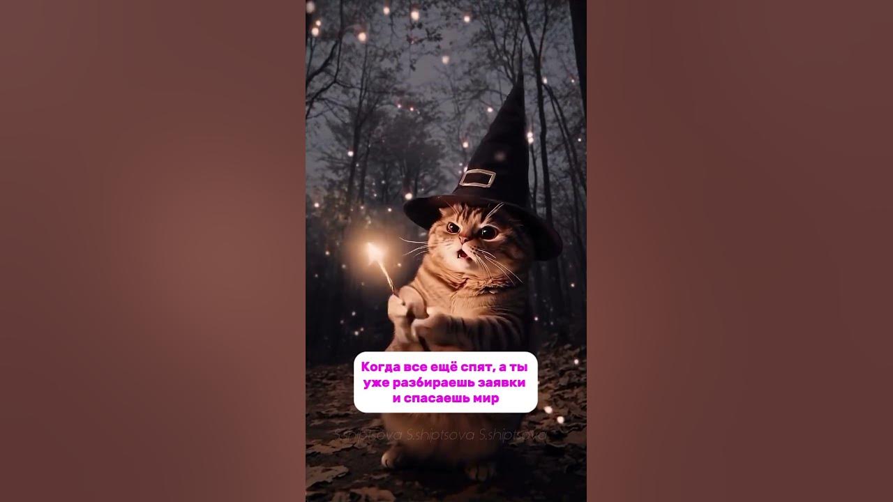 🔮 Пусть все ваши тревоги унесут единороги 🤪 #таро #магия #отношения # ...