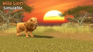 Wild Lion Simulator 3D Android Gameplay screenshot 5