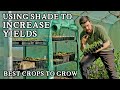 7 Edible Crops Perfect for Growing in Shady Corners