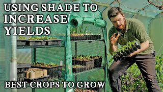 7 Edible Crops Perfect for Growing in Shady Corners