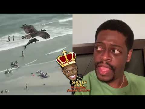 Shuler King - What Bird On Earth Eats Sharks?!! 