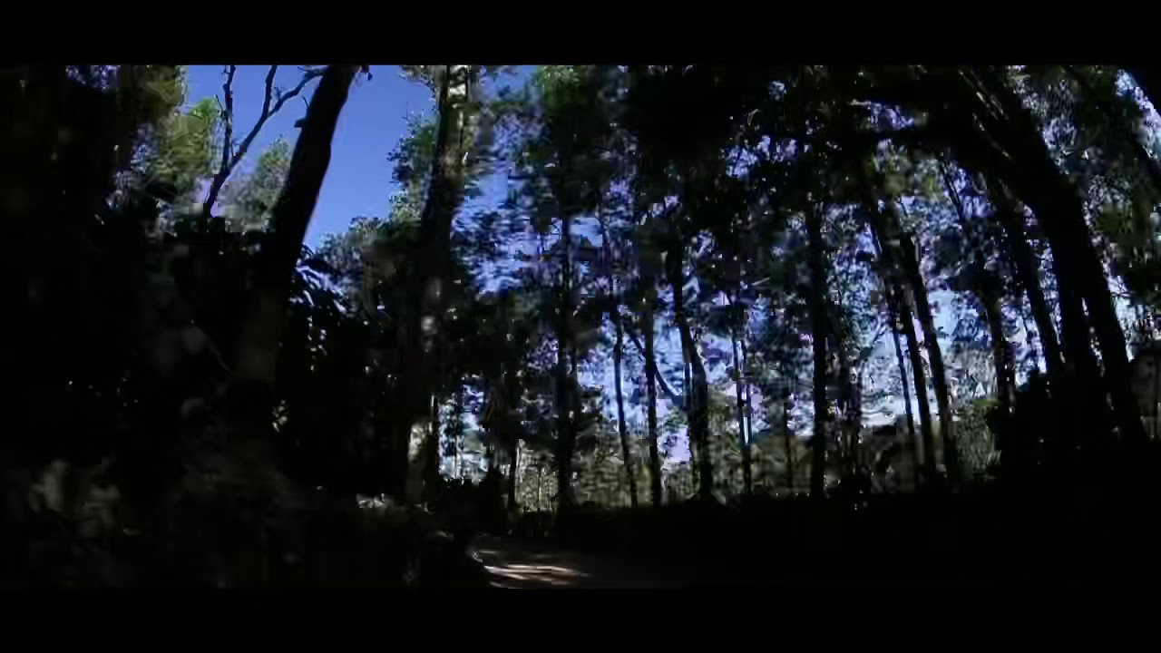 Engagement of Shruvith n Karishma