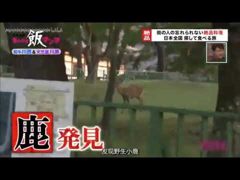 子鹿やん自分