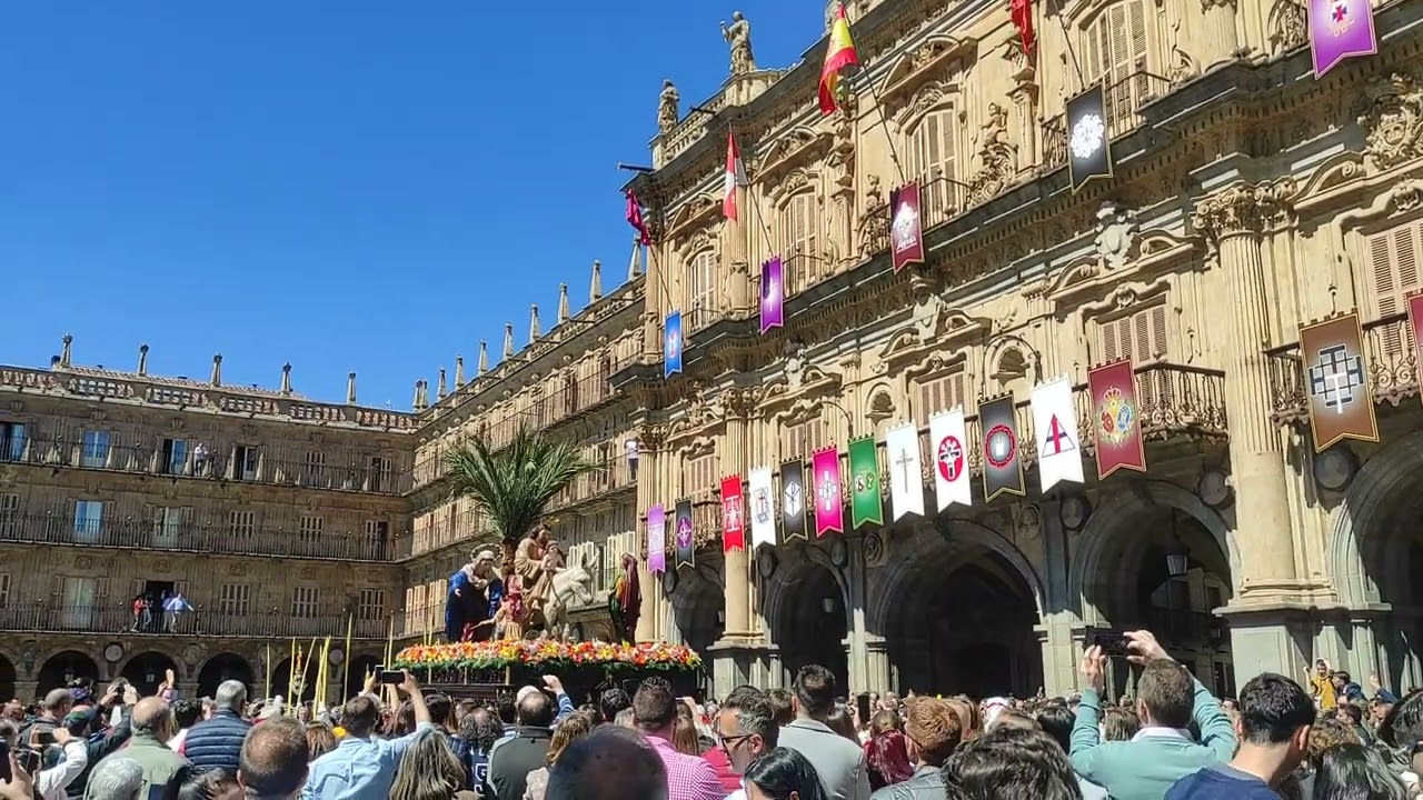 ¡A la Gloria! La Borriquilla en la Plaza Mayor Salamanca 2023