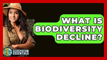 What Is Biodiversity Decline? - Ecosystem Essentials