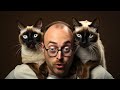 You&#39;ll Definitely Want a Siamese Cat After Watching This