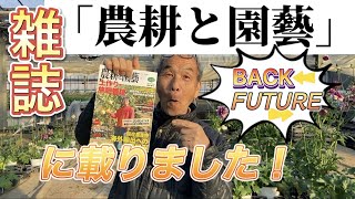 私のバックトゥーザフューチャー【園芸のぶチャンネル】【葉ボタン】【農耕と園芸】【誠文堂新光社】