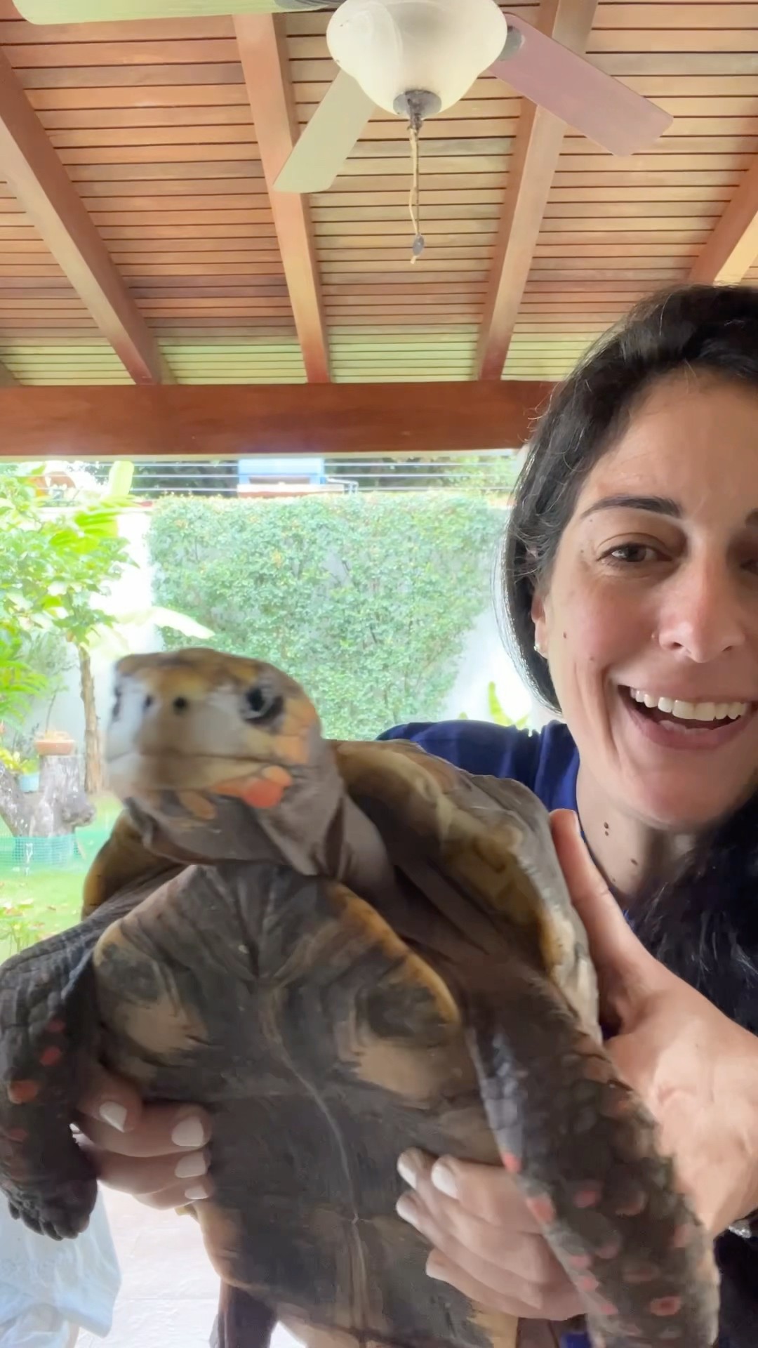 La tortuga que patina! ??