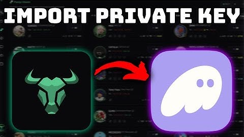 How To Get BullX Private Key And Import It To Phantom Wallet (2025)
