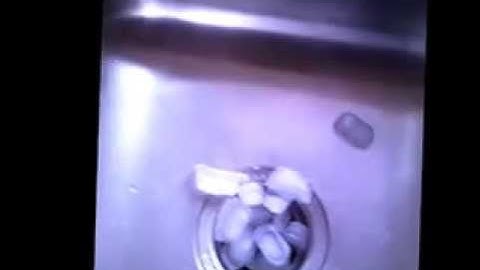Clean Your Garbage Disposal In Less Than A Minute
