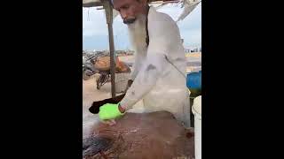 Fish cutting මෙහෙම මාලු කැපිල්ලක්