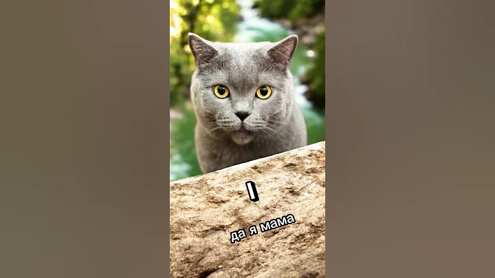 Watch the video about My cat Sylvester needs attention #shorts• #cat #catvideo #sound