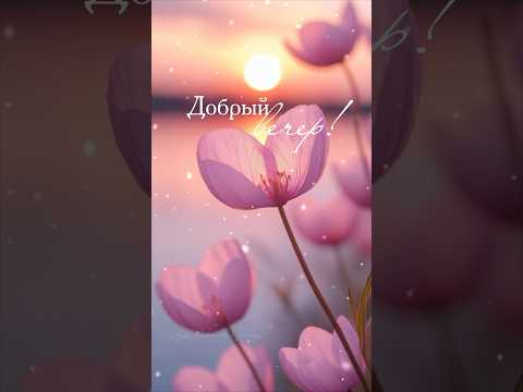 Добрый вечер! #music #добрыйвечер #newshorts #красота #длявас #пожелания #love