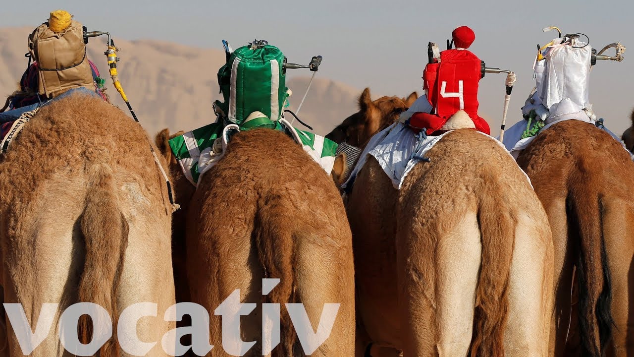 Remote-Controlled Camel Jockeys Replace Children In Race YouTube