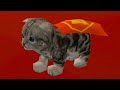 Симулятор СУПЕР КОТА #1 Кид против пришельцев в Super Cat Herding на пурумчата