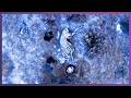 Grey Aliens Travel From The 4th Dimension To Mutilate Cattle | UFO Witness