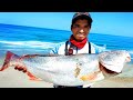 #175 corvina de 7.7 kg