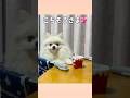 めっちゃ可愛い子いる♡