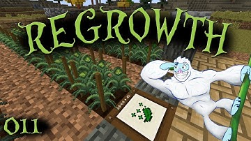 Nature Seeds & Runic Altar - Regrowth Let