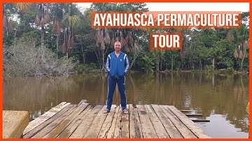 Kapitari Ayahuasca retreat, Iquitos, Peru. Full permaculture tour.