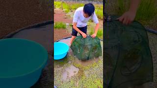 Outdoor Fish Trap, Eel Fishing Umbrella Fishing Trap, Catching Eel Fish, Net Fishing Eel