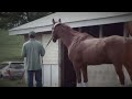 Wise Dan: The Most Interesting Horse in the World, No. 7